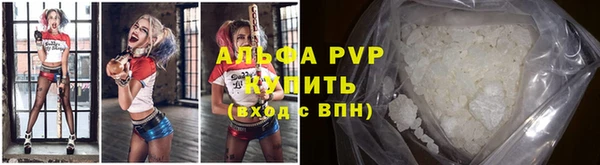 не бодяженный Бородино