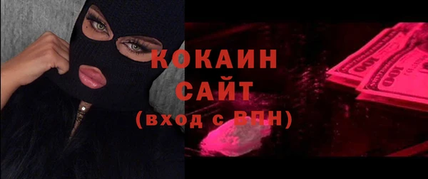 не бодяженный Бородино