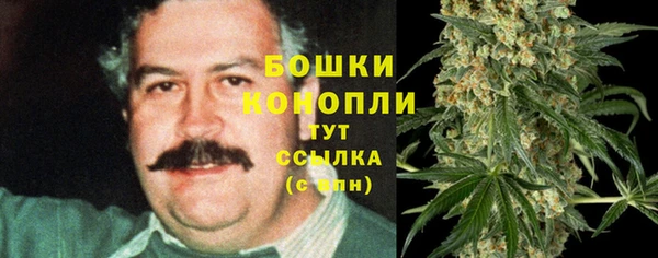 ПСИЛОЦИБИНОВЫЕ ГРИБЫ Бугульма